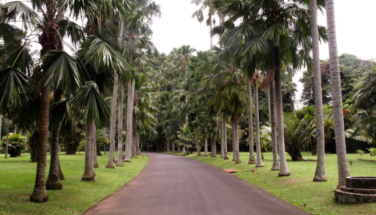 Tempat Instagramable di Bogor yang Patut Dikunjungi