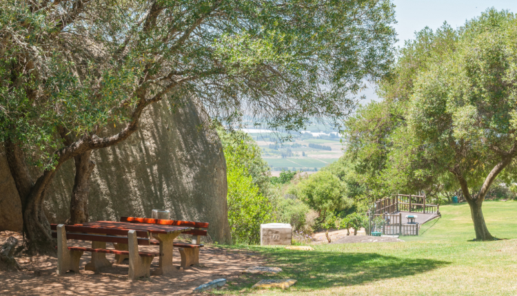 Hutan mangrove Desa Muara Teluk Naga