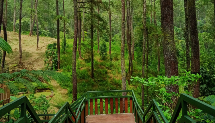 Tempat Wisata Cikole Bandung yang Harus Dikunjungi Sekarang