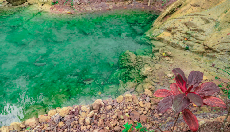 Tempat Wisata Kulon Progo yang Terpopuler dan Instagramable