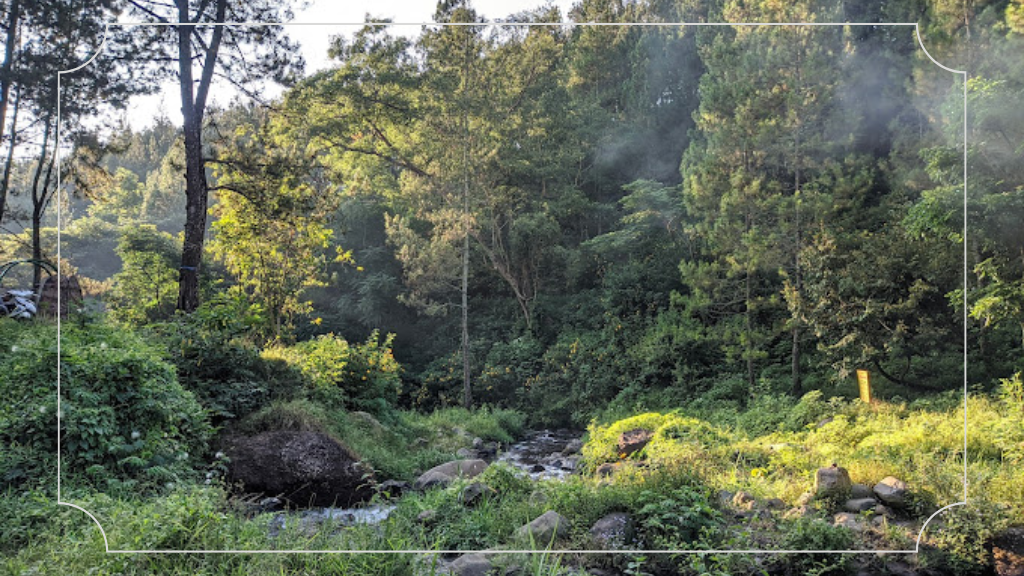 Tentang Bumi Perkemahan Bedengan