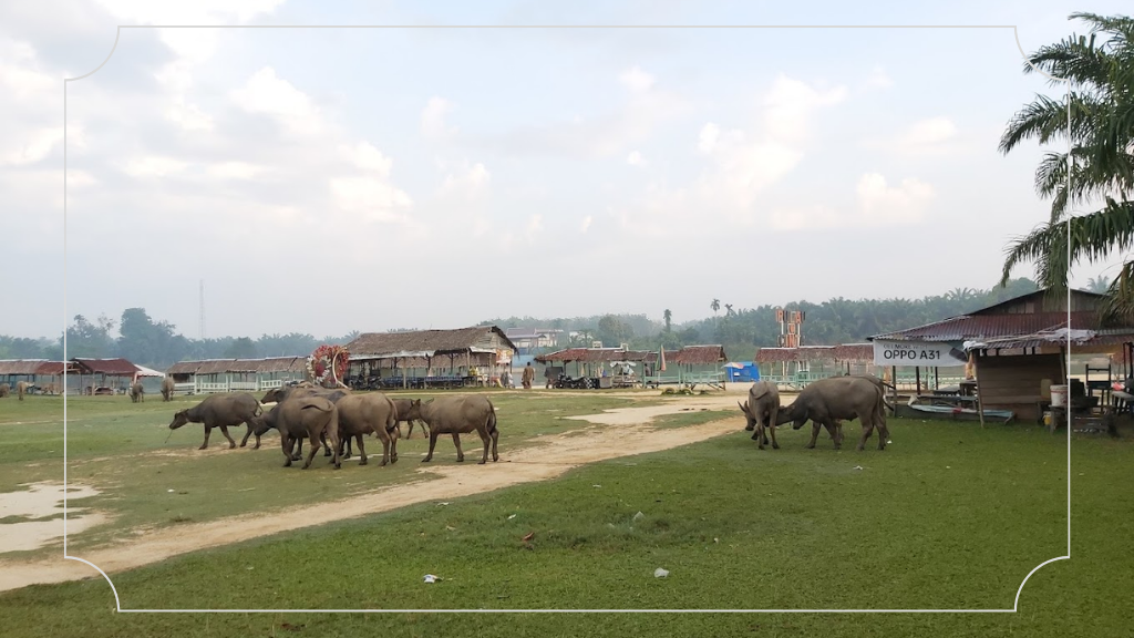Pesona Pantai Cinta Teluk Jering Tambang: Destinasi Impian Para Keluarga 2 Tentang Pantai Cinta Teluk Jering Tambang