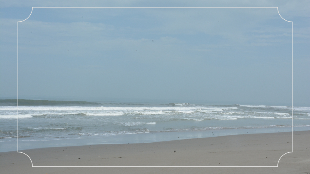 Tentang Pantai Panjang Bengkulu