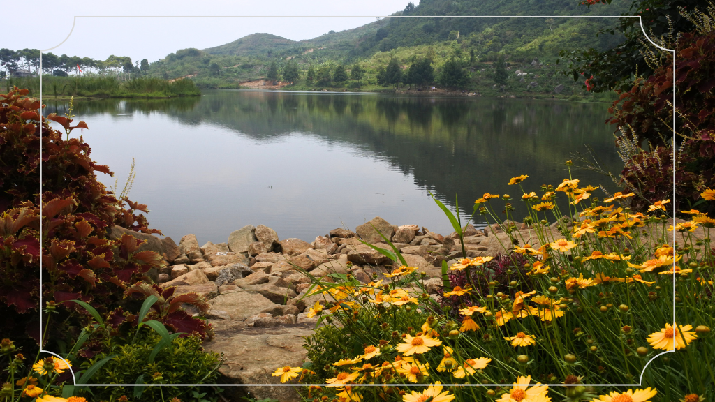 Tentang Rawa Gede Jonggol