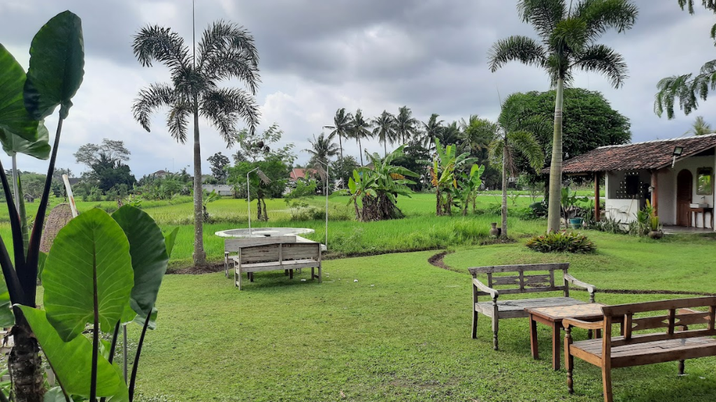 Tepi Sawah Coffee Tempat Nongkrong di Jogja