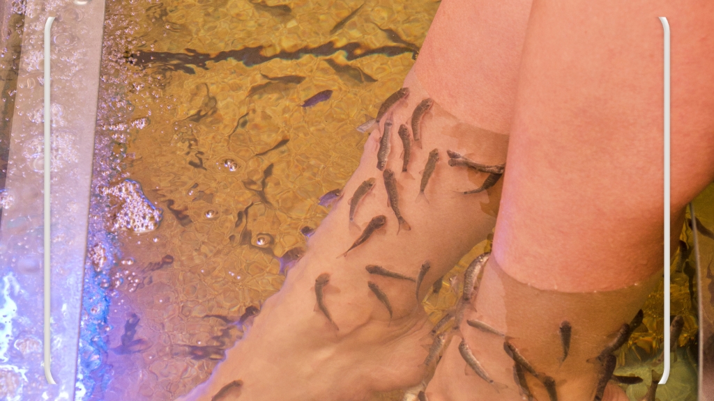 Terapi Ikan dan Refleksi