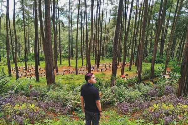 Tips Berkunjung Kemit Forest