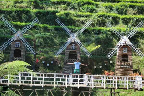 Tips Berkunjung Pagilaran