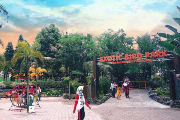 Tips Berkunjung Purbasari Pancuran Mas