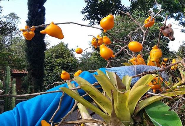 Tempat Wisata Baru di Madiun