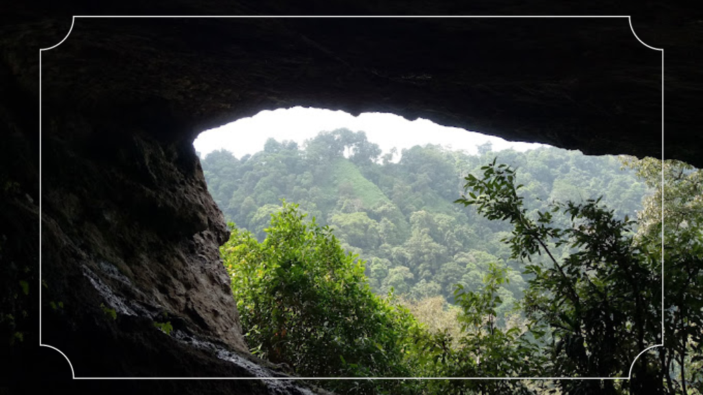 Jelajahi Tempat Wisata di Wonosalam untuk Liburan Seru! 9 Wanawisata Gua Sigolo-Golo