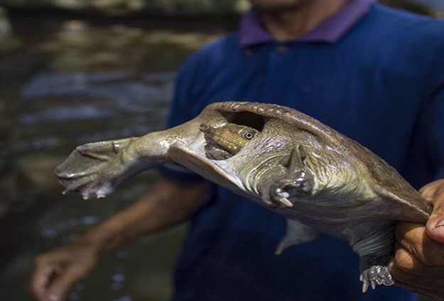 objek wisata di Cirebon