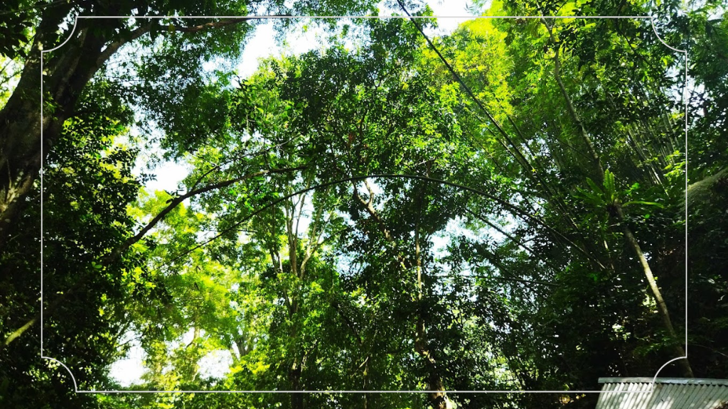 Wisata Alam yang Asri