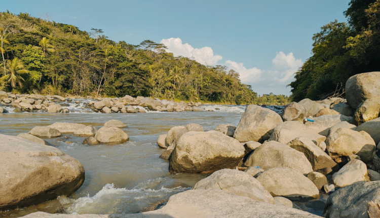 Wisata Kulon Progo Jogja