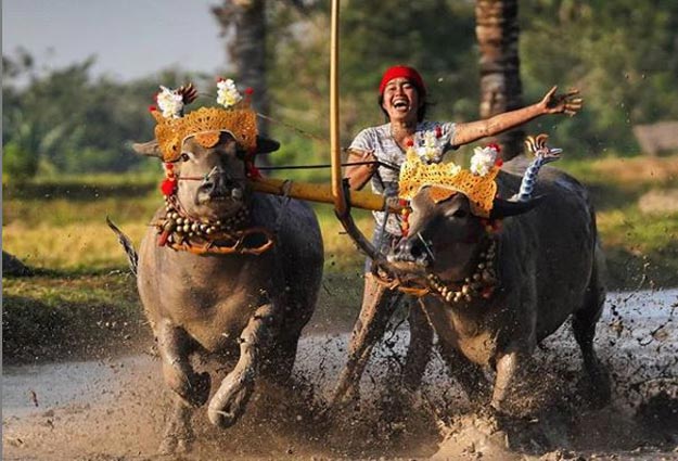 wisata edukasi di Jembrana