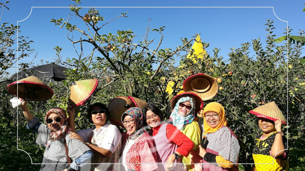 Wisata Petik Apel KTMA
