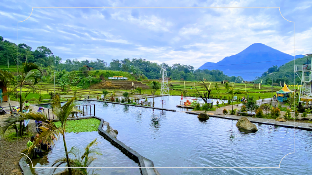 Wisata Sawah Sumber Gempong