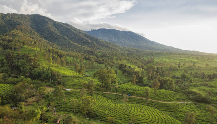 Wisata di Sentul Bogor