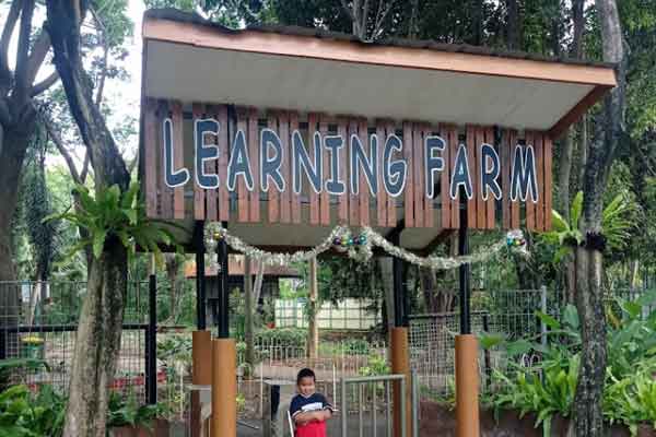 Ecopark Ancol Jakarta 7 aktivitas yang bisa dilakukan ecopark ancol