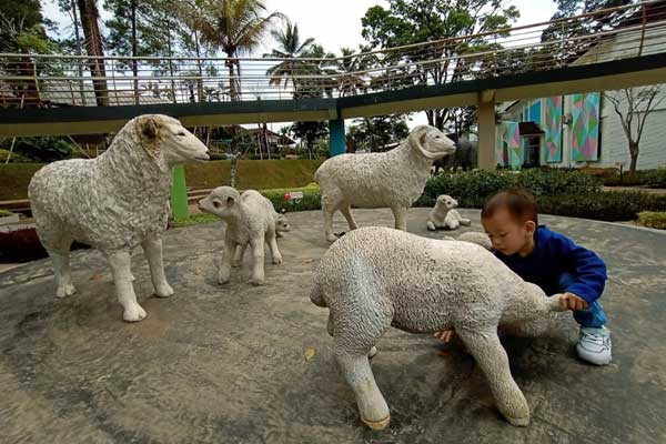 aktivitas yang bisa dilakukan karang resik