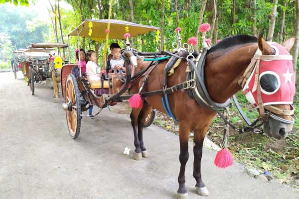 aktivitas yang bisa dilakukan kebun bibit kediri