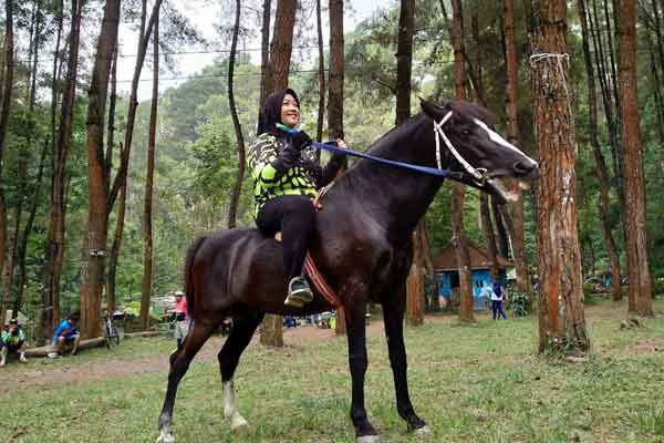aktivitas yang bisa dilakukan ledok ombo