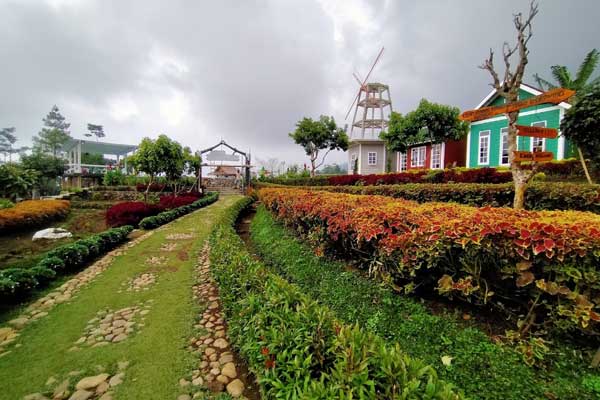 aktivitas yang bisa dilakukan