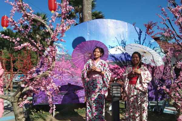Taman Sakura Blitar 6 aktivitas yang bisa dilakukan taman sakura blitar