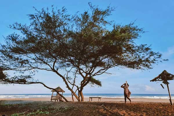 Pantai Sawangan Kebumen 3 alamat dan rute lokasi Pantai Sawangan Kebumen