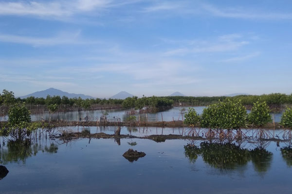 alamat dan rute lokasi Pantai Surodadi Demak