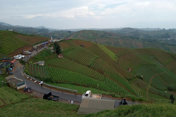 Panyaweuyan Majalengka 3 alamat dan rute lokasi Panyaweuyan Majalengka