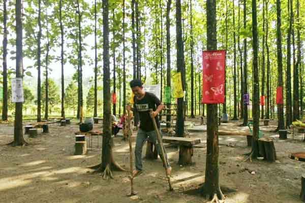 Alian Butterfly Park Kebumen 3 alamat dan rute lokasi alian butterfly park