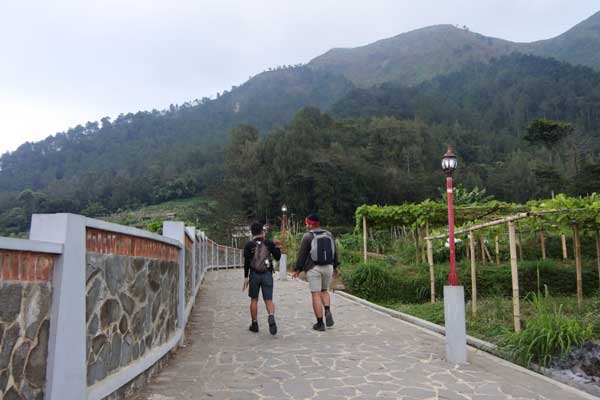 alamat dan rute lokasi andong