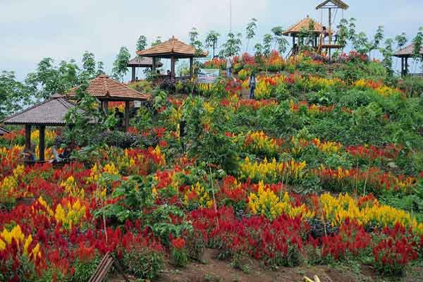 alamat dan rute lokasi bukit srigunung