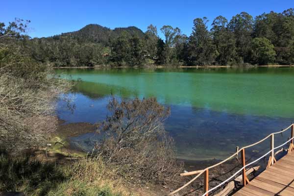 Gua Semar Dieng 3 alamat dan rute lokasi gua semar