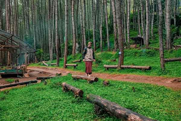 alamat dan rute lokasi kampung ciherang