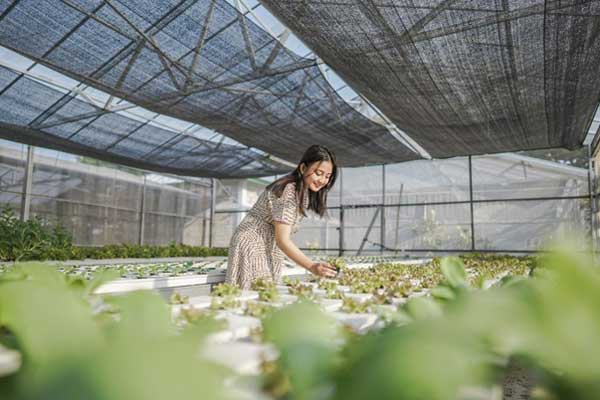 Ndayu Park Sragen 3 alamat dan rute lokasi ndayu park