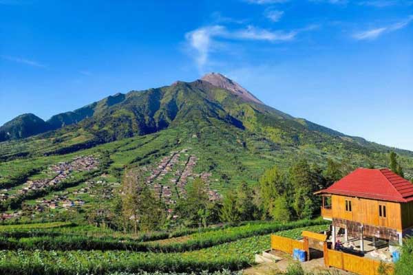 alamat dan rute lokasi new selo