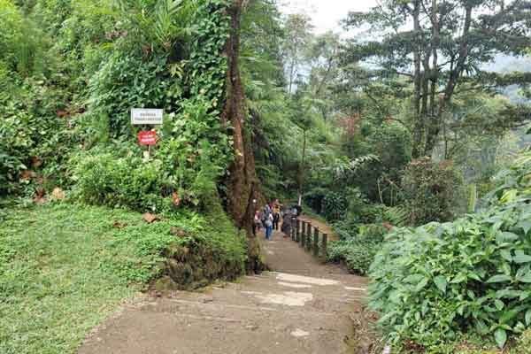 Pancuran Pitu Banyumas 3 alamat dan rute lokasi pancuran pitu