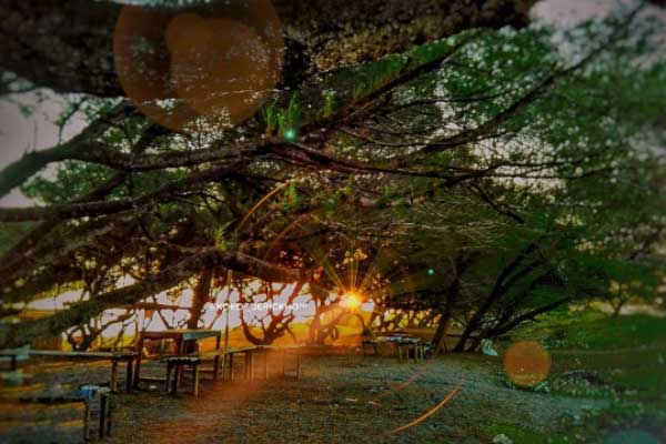 alamat dan rute lokasi pantai jatimalang