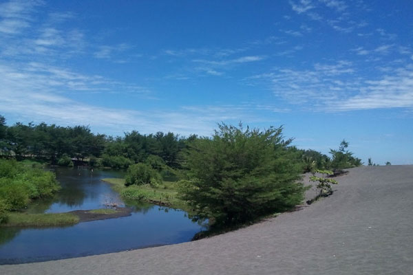 Pantai Laguna Kebumen 3 alamat dan rute lokasi pantai laguna kebumen