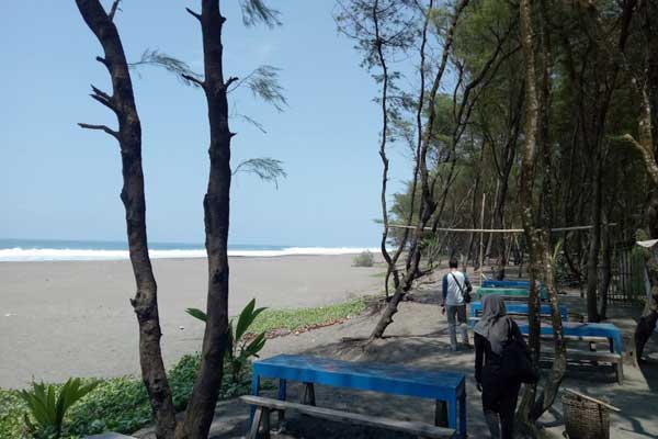 Pantai Petanahan Kebumen 3 alamat dan rute lokasi pantai petanahan