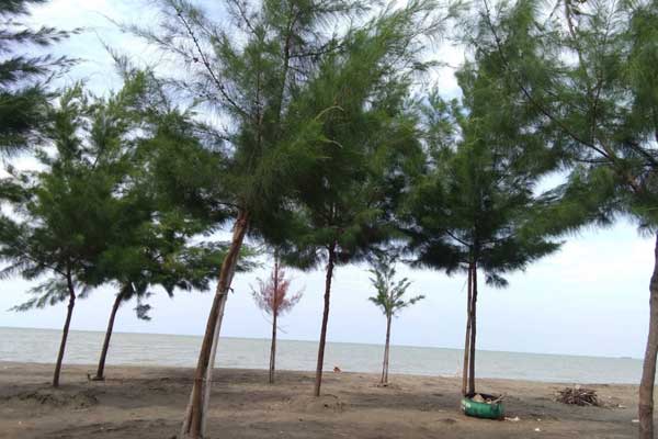 alamat dan rute lokasi pantai randusanga
