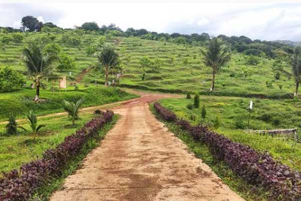 alamat dan rute lokasi plantera ngebruk