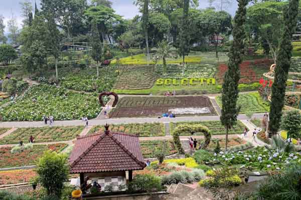 alamat dan rute lokasi selecta garden