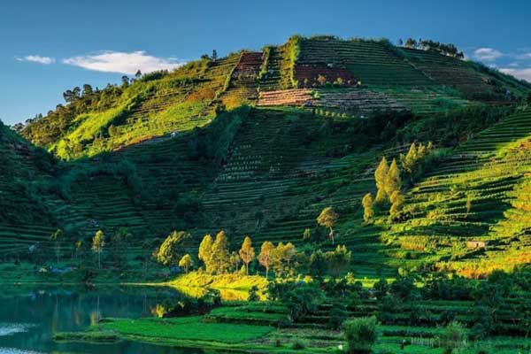 alamat dan rute lokasi telaga cebong