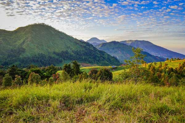 Telaga Dringo Dieng 3 alamat dan rute lokasi telaga dringo