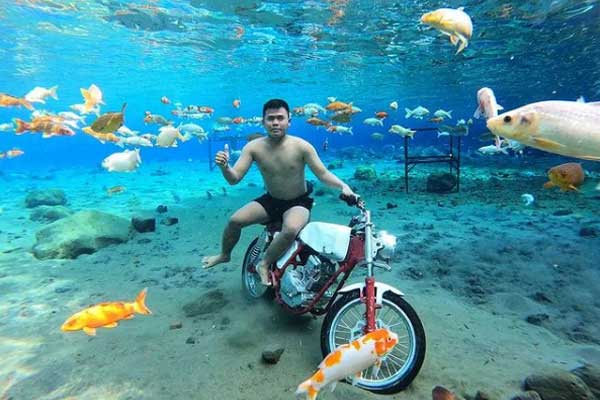 alamat dan rute lokasi umbul ponggok