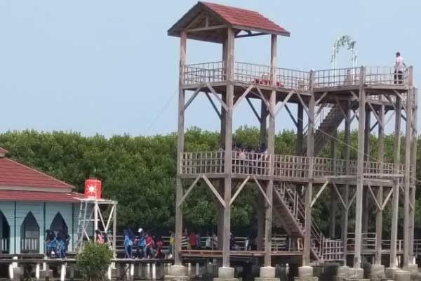 Hutan Mangrove Brebes 4 fasilitas hutan mangrove brebes