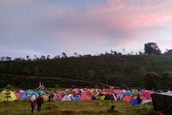 fasilitas kebun teh medini